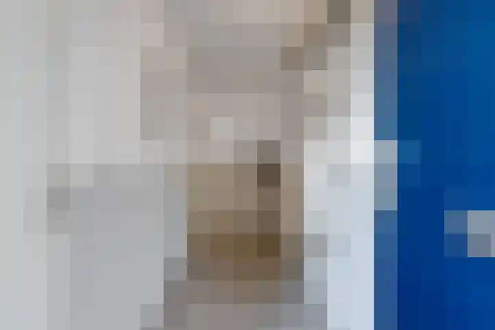 de Schilkampen 1 Sneek thumbnail 5