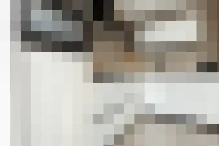 De Schoolmeesterpad 13 Goirle thumbnail 13