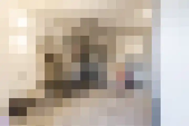 De Schoolmeesterpad 13 Goirle thumbnail 17