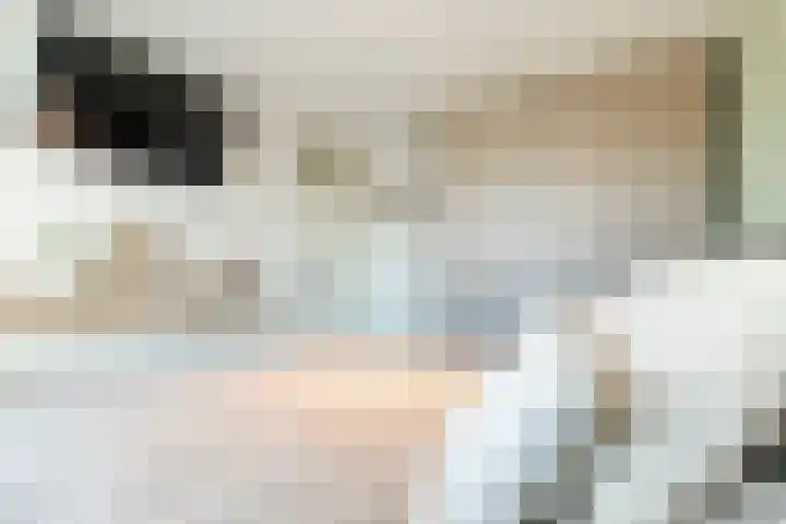 De Schoolmeesterpad 13 Goirle thumbnail 27