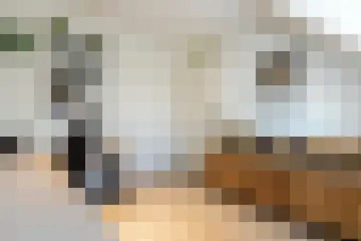 De Schoolmeesterpad 13 Goirle thumbnail 33