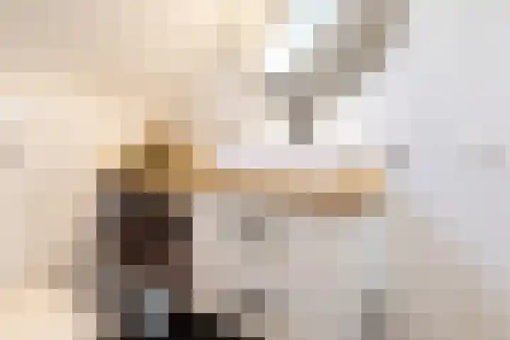 De Schoolmeesterpad 13 Goirle thumbnail 35