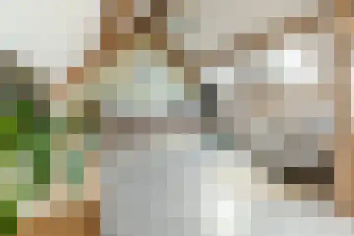 De Schoolmeesterpad 13 Goirle thumbnail 41