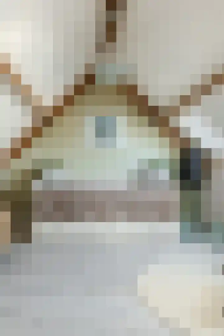 De Schoolmeesterpad 13 Goirle thumbnail 43