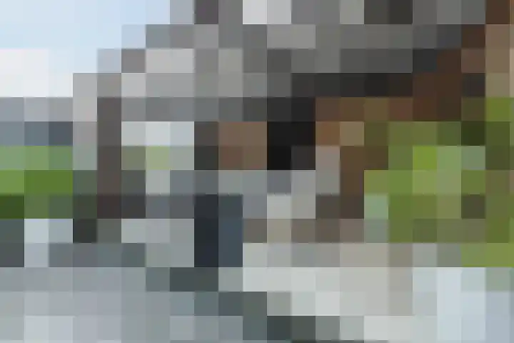 De Schoolmeesterpad 13 Goirle thumbnail 47