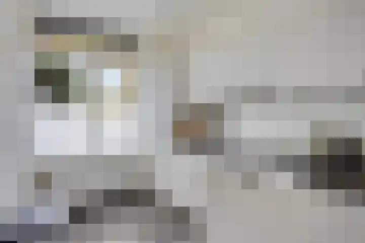 De Schoren 25 Malden thumbnail 16