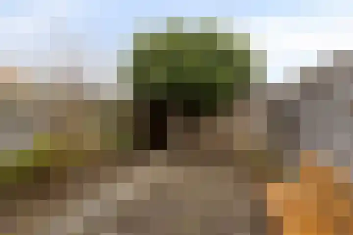 De Schoren 25 Malden thumbnail 34