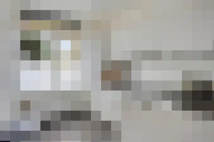 De Schoren 25 Malden thumbnail 4