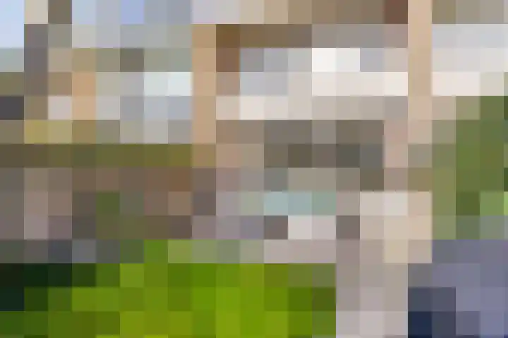 De Schoren 57 Malden thumbnail 33