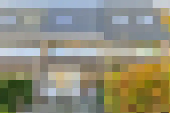 De Schoren 57 Malden thumbnail 38