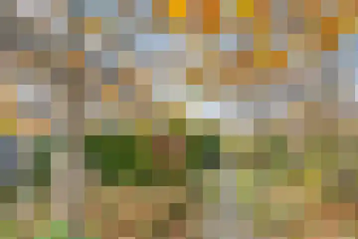 De Schoren 57 Malden thumbnail 4