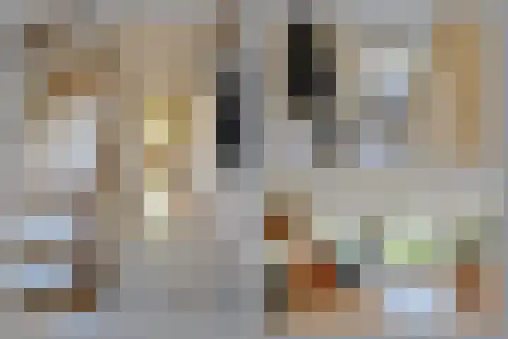 De Schout 8 Laren thumbnail 11