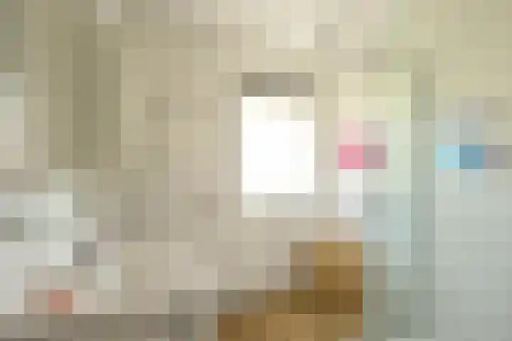 De Schout 8 Laren thumbnail 15