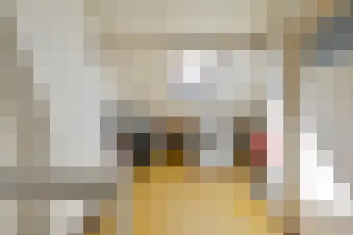 De Schout 8 Laren thumbnail 16