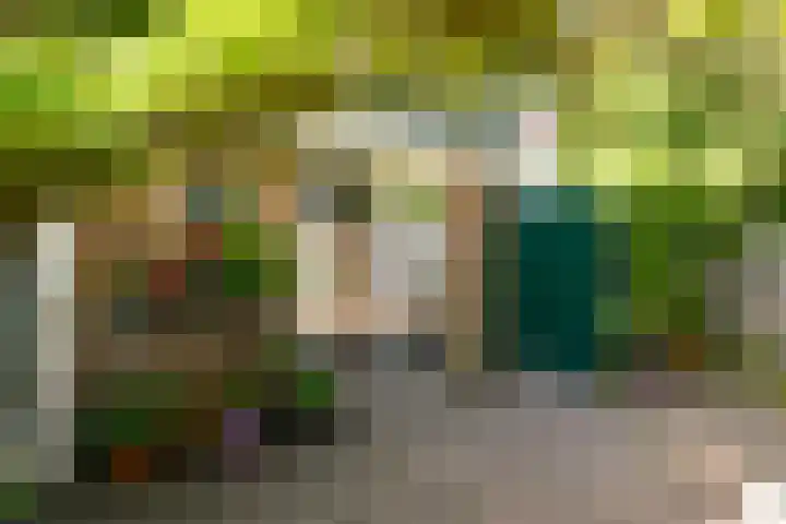 De Schout 8 Laren thumbnail 4