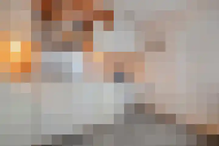 de Schouw 56 Raalte thumbnail 22
