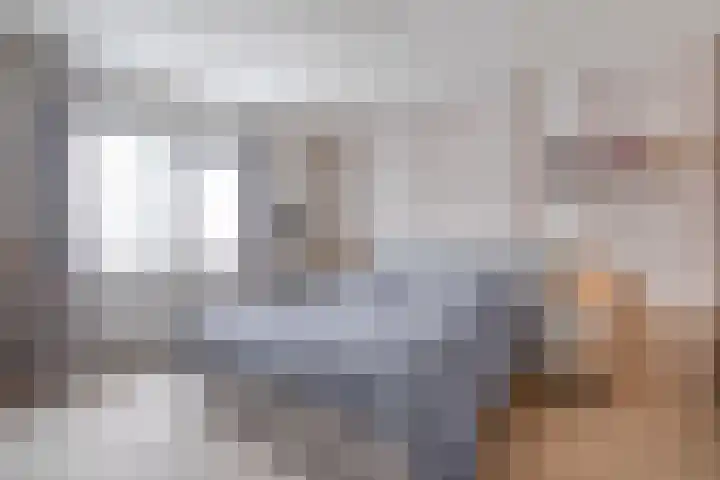de Schouw 56 Raalte thumbnail 30