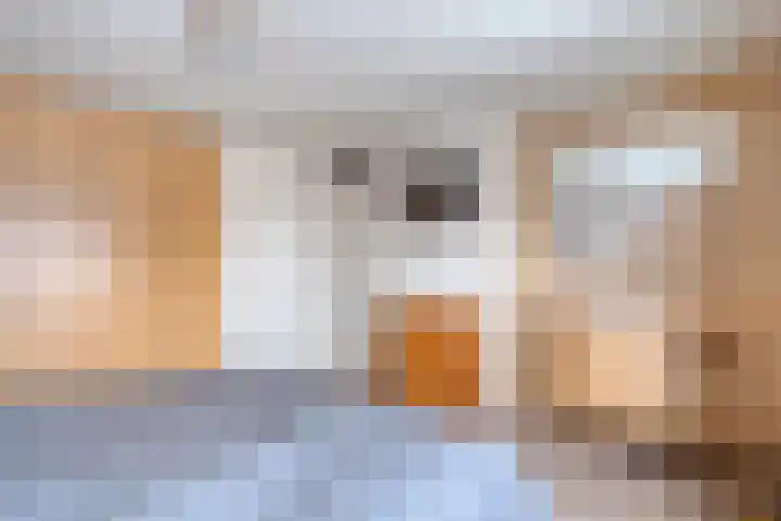 de Schouw 56 Raalte thumbnail 31