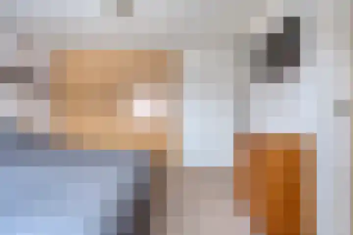 de Schouw 56 Raalte thumbnail 32