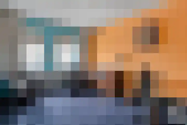 de Schouw 56 Raalte thumbnail 37