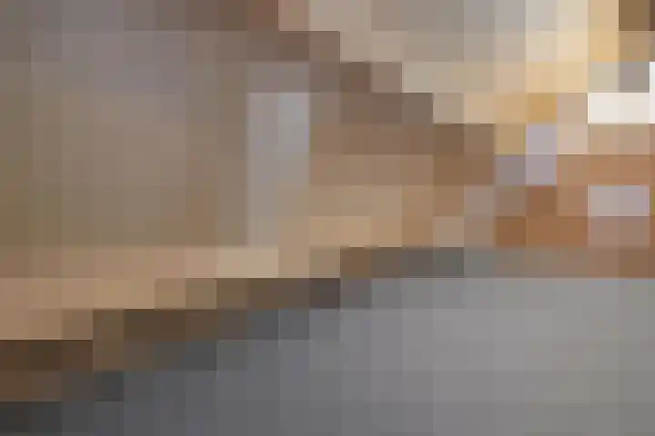 de Schouw 56 Raalte thumbnail 42