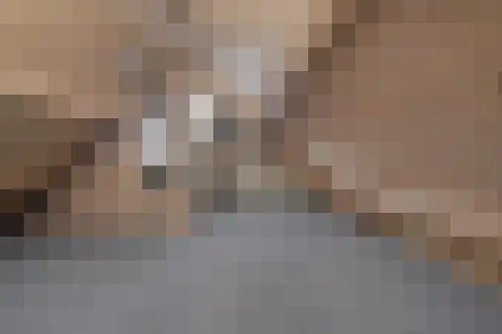 de Schouw 56 Raalte thumbnail 43