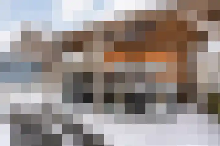 de Schouw 56 Raalte thumbnail 55