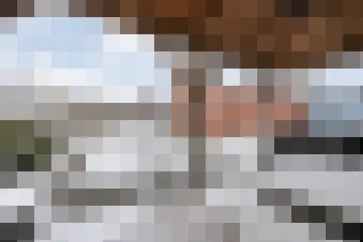 de Schouw 56 Raalte thumbnail 56