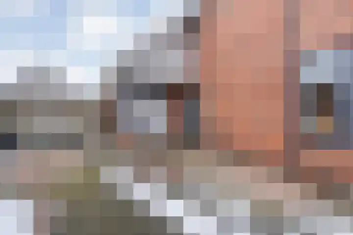 de Schouw 56 Raalte thumbnail 6