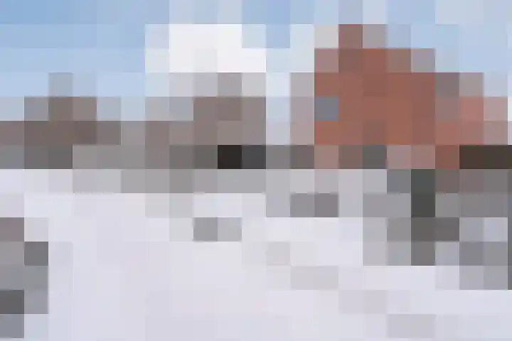 de Schouw 56 Raalte thumbnail 60