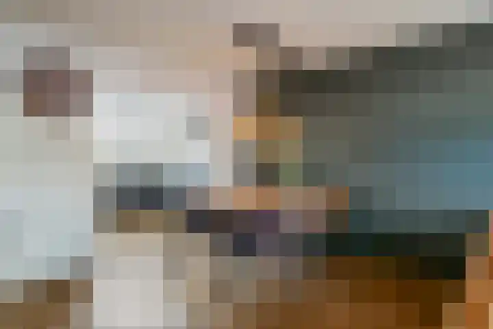 de Schouw 59 Raalte thumbnail 10