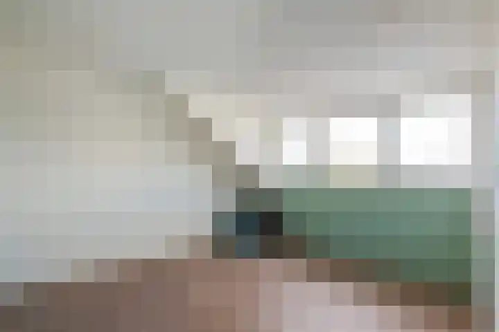 de Schouw 59 Raalte thumbnail 27