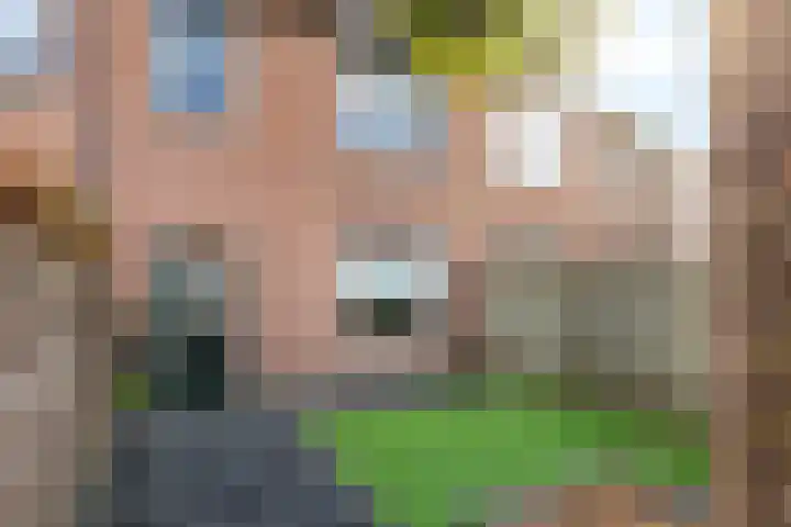 de Schouw 59 Raalte thumbnail 32