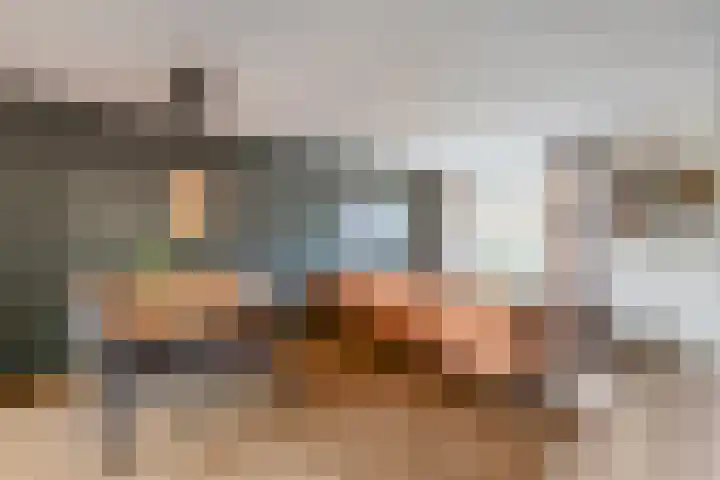 de Schouw 59 Raalte thumbnail 5