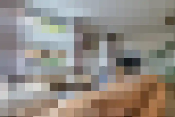 de Schouw 59 Raalte thumbnail 7
