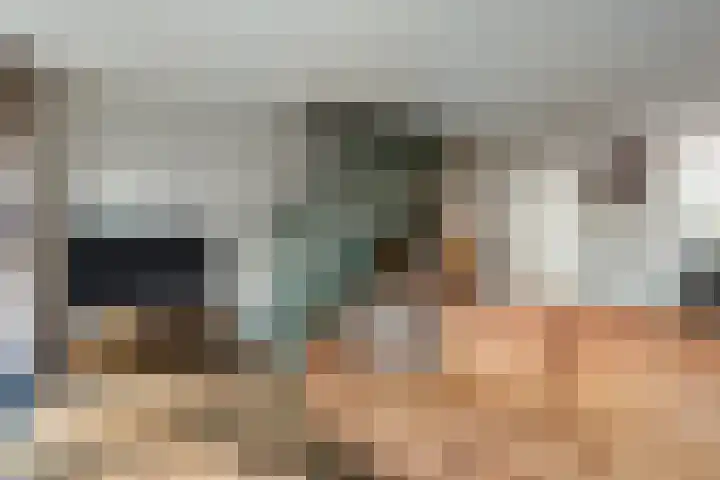 de Schouw 59 Raalte thumbnail 8
