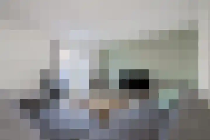 De Schouwgraaf 27 Ulft thumbnail 15
