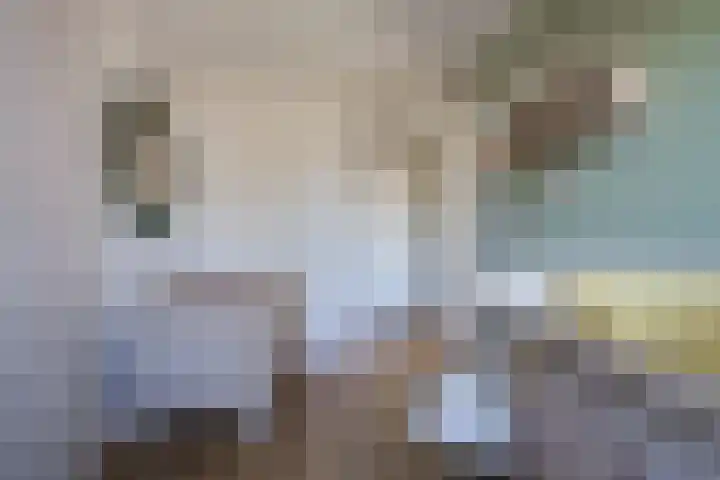 De Schouwgraaf 27 Ulft thumbnail 33