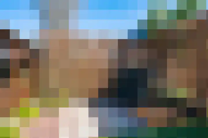 De Schouwgraaf 27 Ulft thumbnail 50