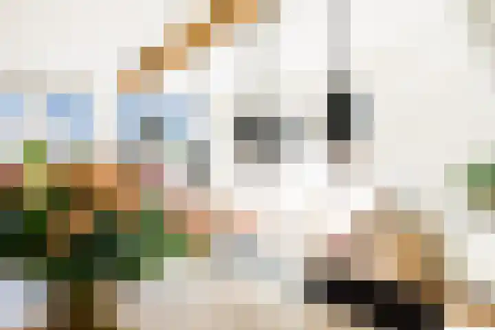 De Schouwgraaf 8 Ulft thumbnail 10