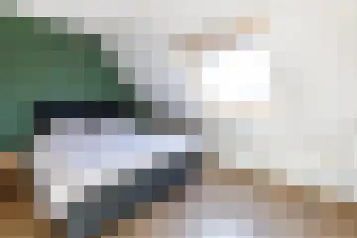 De Schouwgraaf 8 Ulft thumbnail 18