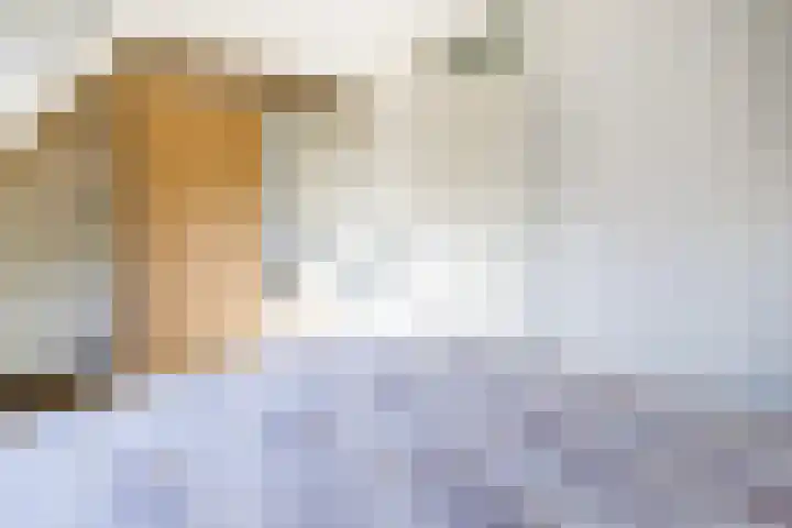 De Schouwgraaf 8 Ulft thumbnail 19