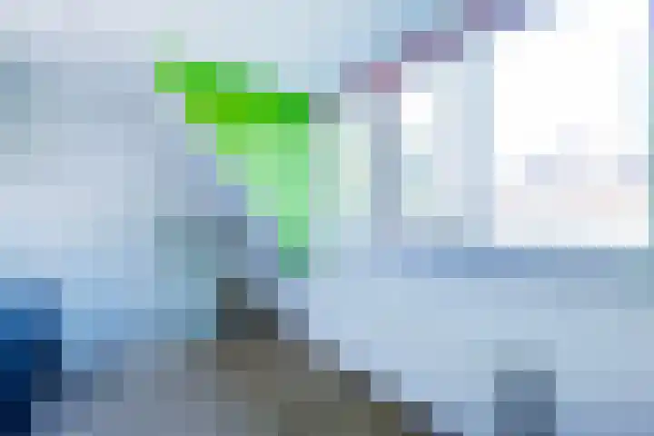 De Schouwgraaf 8 Ulft thumbnail 22