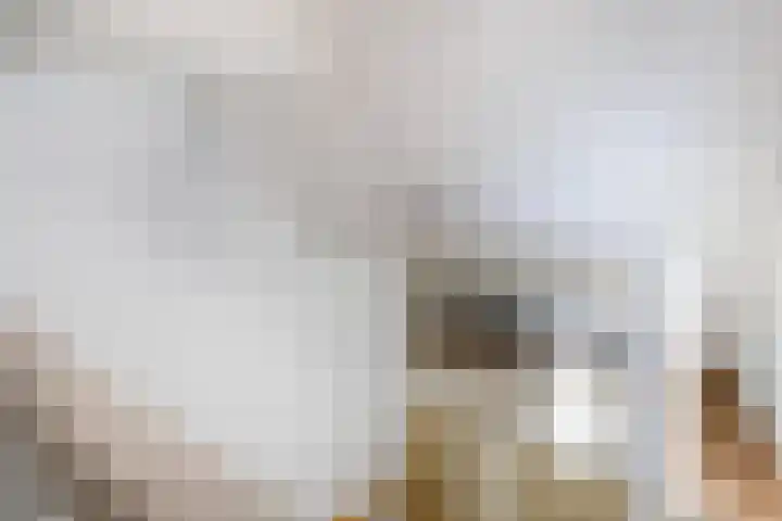 De Schouwgraaf 8 Ulft thumbnail 25