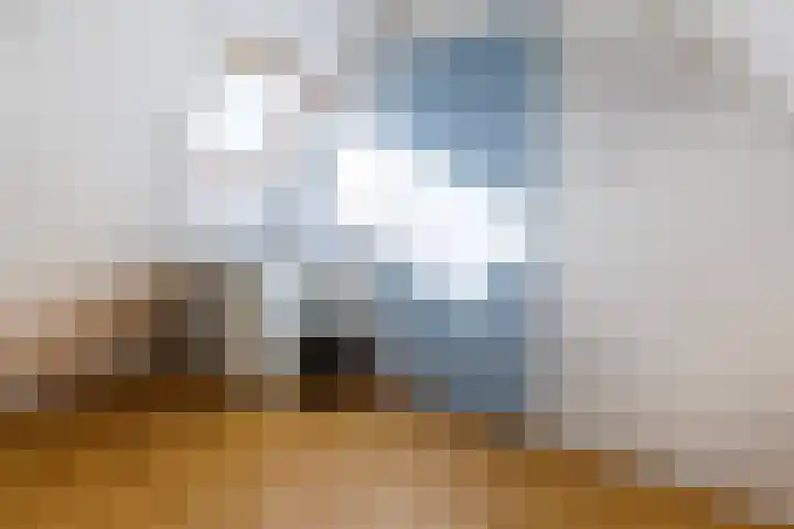 De Schouwgraaf 8 Ulft thumbnail 26