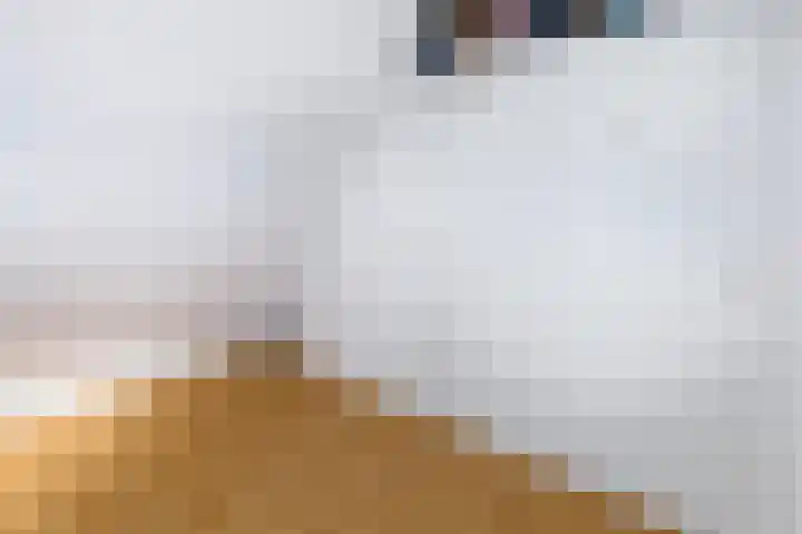 De Schouwgraaf 8 Ulft thumbnail 27