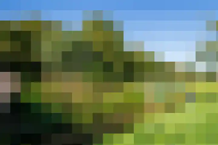 De Schouwgraaf 8 Ulft thumbnail 30