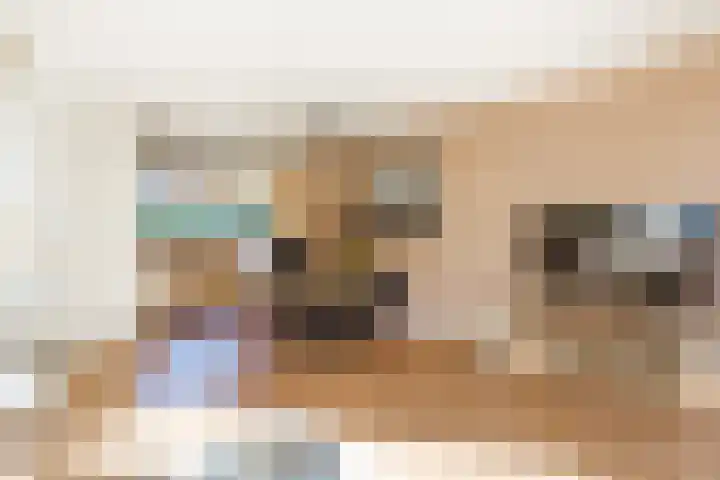 De Schouwgraaf 8 Ulft thumbnail 6