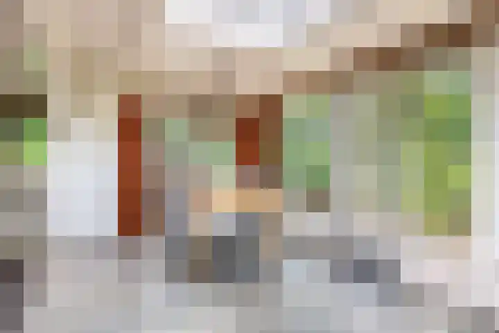 De Schure 15 Vledder thumbnail 13