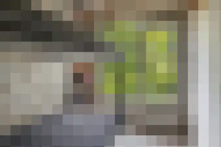 De Schure 15 Vledder thumbnail 24